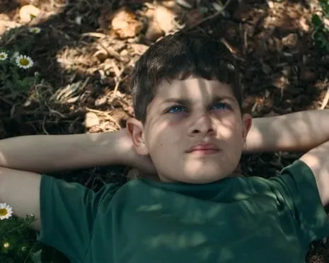 Israeli Minister of Culture Vows to Eliminate Ophir Awards Funding Following Palestinian Story Film Takes Top Prize