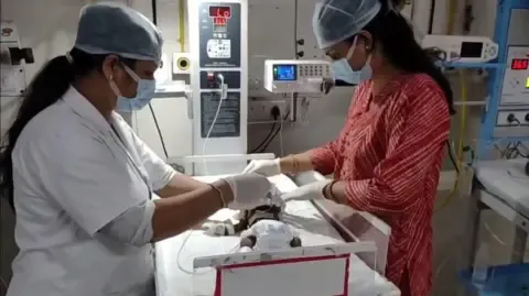 Baby Placed Alive in the Country Struggles for Her Life