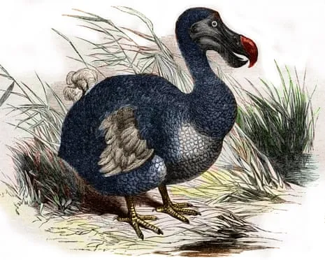 Scientists Assert They’ve Made a ‘Major Breakthrough’ in Bringing Back the Extinct Bird for the Initial Instance in Multiple Generations